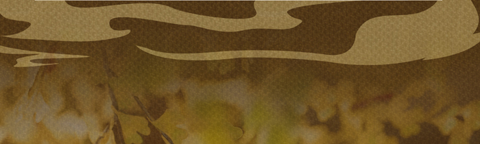 BJD SD 人偶 娃娃 BJD古风 BJD三分